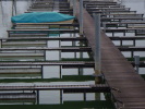 Vorschaubild Bootstege im Hafen Romanshorn_2014_02_02--15-38-36.jpg 
