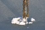 Vorschaubild Eis und Schnee im Hafen Romanshorn_2014_12_31--14-09-00.jpg 