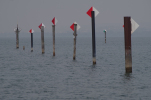 Vorschaubild Pfaehle im Bodensee_2013_01_26--14-26-14.jpg 