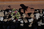 Vorschaubild Rostige Schienen und Storchenschnabel_2014_08_17--09-27-59.jpg 