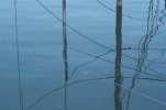 Vorschaubild Spiegelungen im Hafen Romanshorn_2014_10_18--16-37-07.jpg 