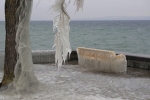 Vorschaubild Vereister Baum und Sitzbaenke am Bodensee_2015_02_07--09-36-55.jpg 