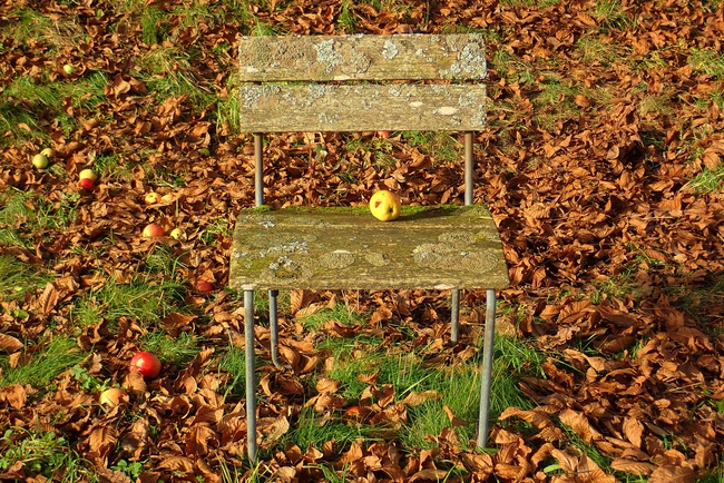 ../previews/002-Alter Gartenstuhl mit Apfel_2020_11_08--14-44-50.jpeg.medium.jpeg