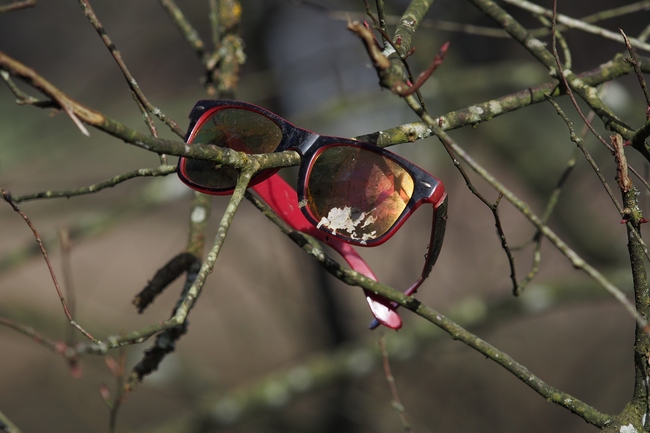 ../previews/003-Alte Sonnebrille im Geaest_2018_03_14--10-44-07.jpeg.medium.jpeg