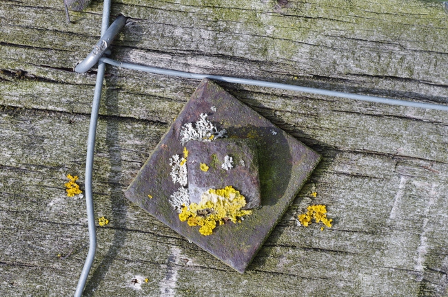 ../previews/024-Holzpfosten mit Draht_2014_04_06--13-13-14.jpeg.medium.jpeg