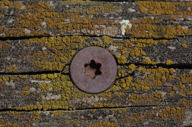 ../previews/042-Rostige Schraube an altem Zaun_2014_08_17--14-28-22.jpeg.medium.jpeg