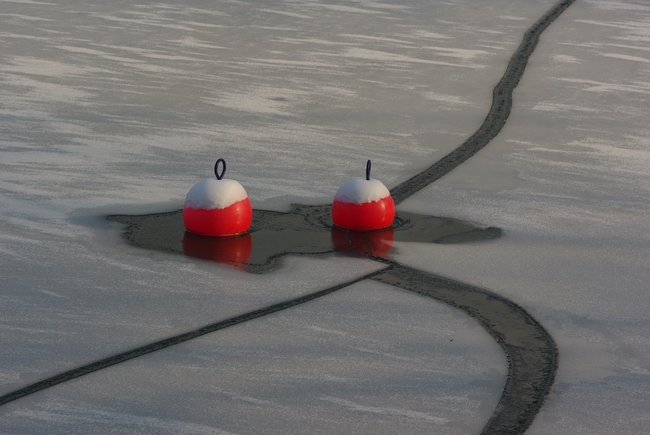 ../previews/043-Rote Boje im Eis in Romanshorn_2010_12_26--13-20-52.jpeg.medium.jpeg