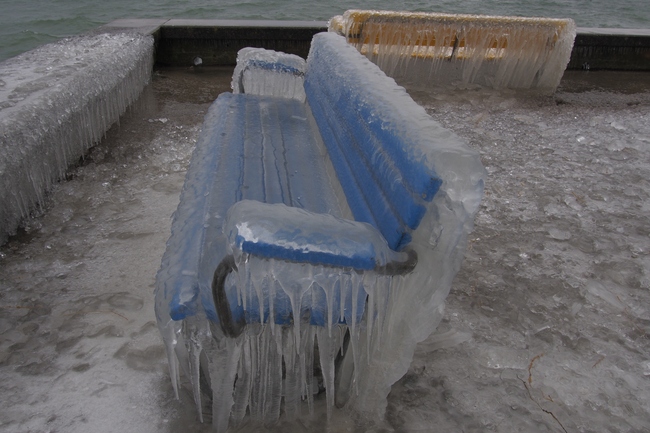 ../previews/052-Vereister Baum und Sitzbaenke am Bodensee_2015_02_07--09-34-17.jpeg.medium.jpeg