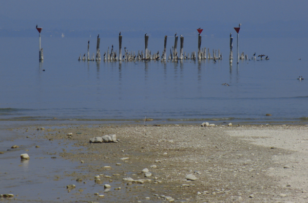 Skaliertes Bild Bodensee bei Altnau_2011_04_16--13-54-07.jpg 
