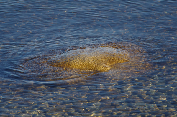 Skaliertes Bild Grosser Stein im Bodensee_2012_12_30--12-13-51.jpg 