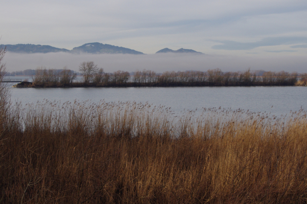 Skaliertes Bild Landschaft am Bodensee bei Fussach_2014_01_09--09-34-46.jpg 