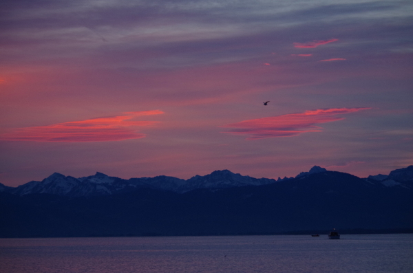 Skaliertes Bild Morgenstimmung am Bodensee_2014_12_13--08-49-30.jpg 