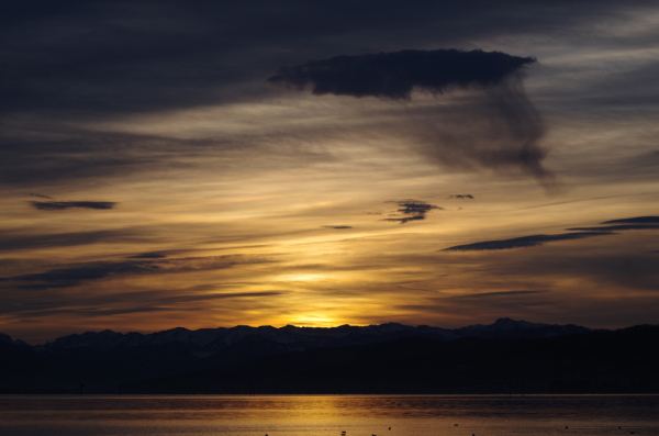 Skaliertes Bild Morgenstimmung am Bodensee_2014_12_13--09-16-15.jpg 