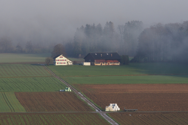 Skaliertes Bild Nebellandschaft im Thurtal_2022_12_30--10-28-33.jpg 