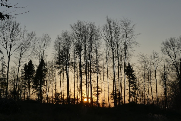 Skaliertes Bild Sonnenuntergangstimmung oberhalb Thalheim_2022_03_25--19-18-32.jpg 