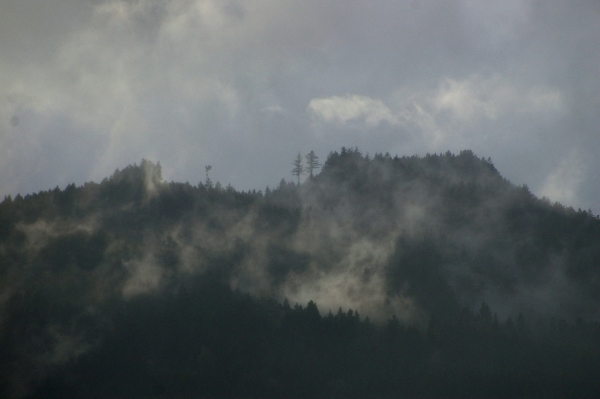 Skaliertes Bild Tannenberg mit Nebelschwaden_2007_02_11--17-05-44.jpg 