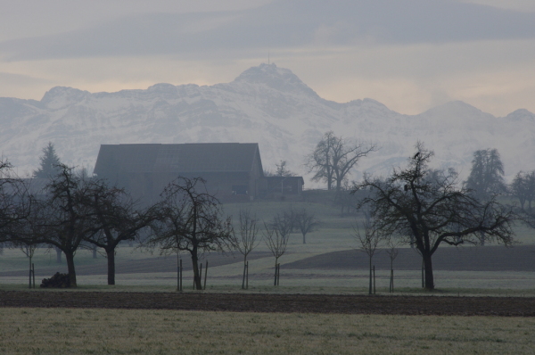 Skaliertes Bild Thurgauer Landschaft mit Saentis_2014_02_08--09-14-01.jpg 