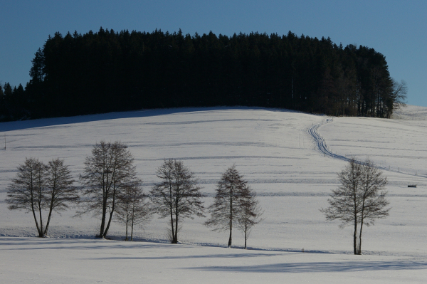 Skaliertes Bild Winterlandschaften auf dem Tannenberg_2005_11_27--11-26-38.jpg 