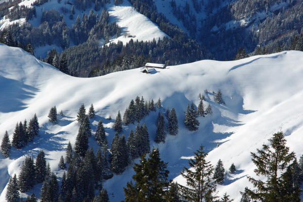 Skaliertes Bild Winterliche Alp_2010_02_21--10-35-28.jpg 