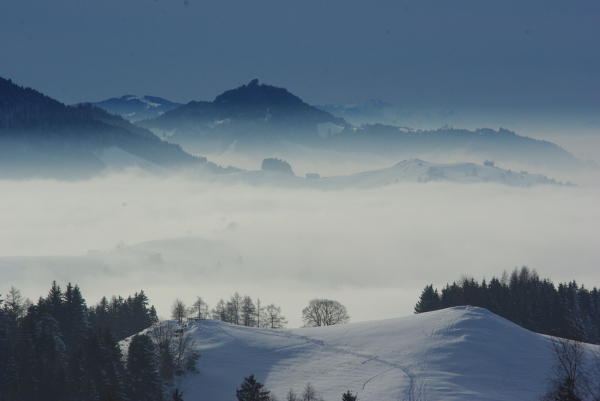 Skaliertes Bild Winterliche Aussicht von der Hohen Buche, Nebel im Unterland_2010_01_16--14-53-44.jpg 