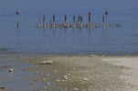 Vorschaubild Bodensee bei Altnau_2011_04_16--13-54-07.jpg 