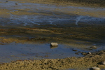 Vorschaubild Bodenseeufer bei Niedrigwasser_2007_01_14--14-15-19.jpg 