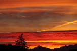Vorschaubild Extrem bunter Sonnenaufgang_2012_12_29--08-55-26.jpg 