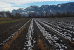 Vorschaubild Felder mit erstem Schnee_2013_12_15--13-34-38.jpg 