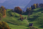 Vorschaubild Herbstlandschaft auf dem Buergenstock_2006_10_28--13-52-24.jpg 