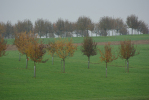 Vorschaubild Herbstlandschaft bei Hagenwil_2012_11_18--14-59-11.jpg 