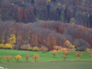 Vorschaubild Herbstlandschaft bei Mariastein_2008_11_09--11-33-55.jpg 