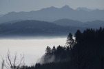 Vorschaubild Herbstlandschaft mit Nebel, Aussicht vom Tannenberg_2012_11_17--11-16-51.jpg 