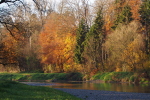 Vorschaubild Herbstwald an der Thur_2022_11_17--08-45-02.jpg 