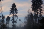 Vorschaubild Morgenhimmel ueber dem Herbstwald_2022_10_28--08-04-09.jpg 