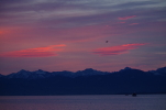 Vorschaubild Morgenstimmung am Bodensee_2014_12_13--08-49-30.jpg 