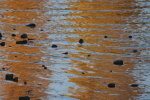 Vorschaubild Reflexionen im Rhein_2015_10_25--16-00-29.jpg 