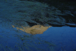 Vorschaubild Spiegelungen im Bergsee_2013_08_22--07-11-39.jpg 