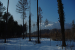 Vorschaubild Winterlandschaft_2013_03_03--16-04-59.jpg 