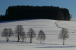 Vorschaubild Winterlandschaften auf dem Tannenberg_2005_11_27--11-26-38.jpg 