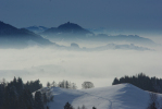 Vorschaubild Winterliche Aussicht von der Hohen Buche, Nebel im Unterland_2010_01_16--14-53-44.jpg 