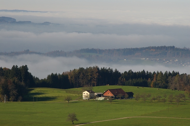 ../previews/037-Aussicht vom Tannenberg_2005_11_12--14-03-46.jpeg.medium.jpeg
