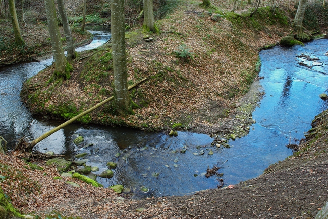 ../previews/039-Bach im Wald_2009_03_30--14-14-52.jpeg.medium.jpeg