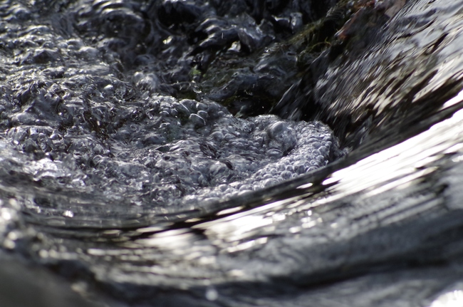 ../previews/041-Baechlein bei Diepoldsau, Wasserdetails_2012_11_08--16-30-24.jpeg.medium.jpeg