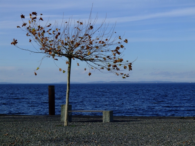 ../previews/043-Baeumchen am Bodensee_2010_11_13--15-18-54.jpeg.medium.jpeg