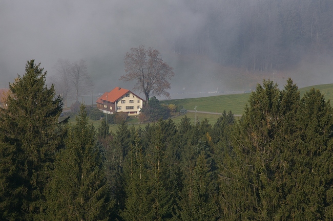../previews/046-Bauernhof bei St. Anton_2008_11_16--14-12-08.jpeg.medium.jpeg