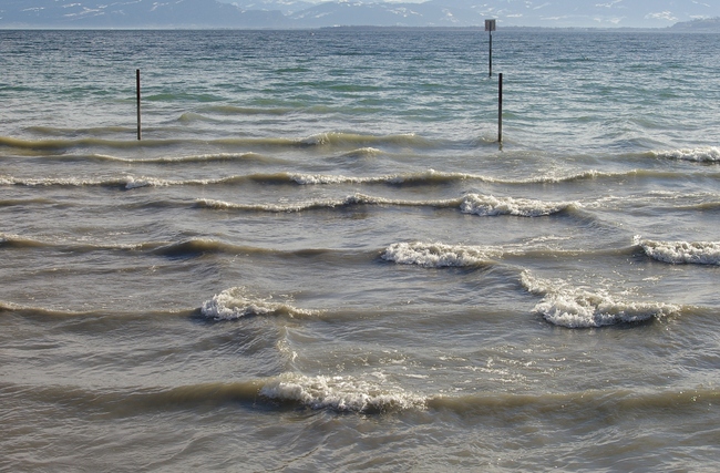 ../previews/060-Bodensee bei Arbon_2006_02_19--10-19-14.jpeg.medium.jpeg
