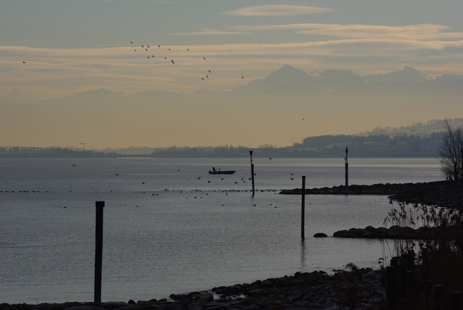 ../previews/062-Bodensee bei Steinach_2009_02_09--09-19-17.jpeg.medium.jpeg