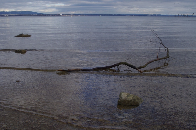 ../previews/063-Bodensee mit angeschwemmtem Ast_2013_12_29--13-34-20.jpeg.medium.jpeg