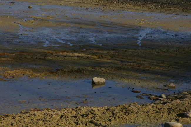 ../previews/065-Bodenseeufer bei Niedrigwasser_2007_01_14--14-15-19.jpeg.medium.jpeg