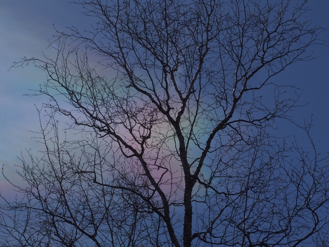 ../previews/069-Bunt aufleuchtende Wolken_2019_03_16--15-58-54.jpeg.medium.jpeg